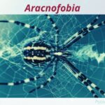 Aracnofobia