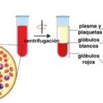 Centrifugación