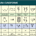 Cuneiforme