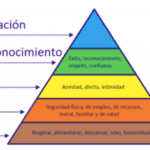 Finalidad