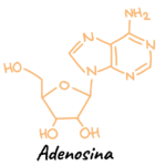 Neurotransmisor