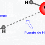 Puente De Hidrógeno